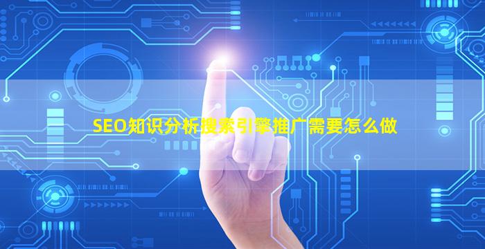 SEO知识分析搜索引擎推广需要怎么做