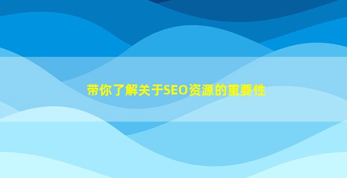 带你了解关于SEO资源的重要性